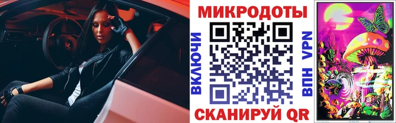 Купить закладки  Балей  Псилоцибиновые грибы ЛСД 